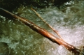 2004 Tuefelschilen